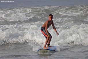 surfingmexico
