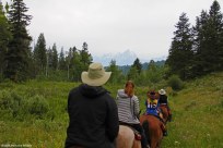 horseback in Tetons