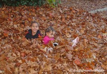 young t+s in leaves